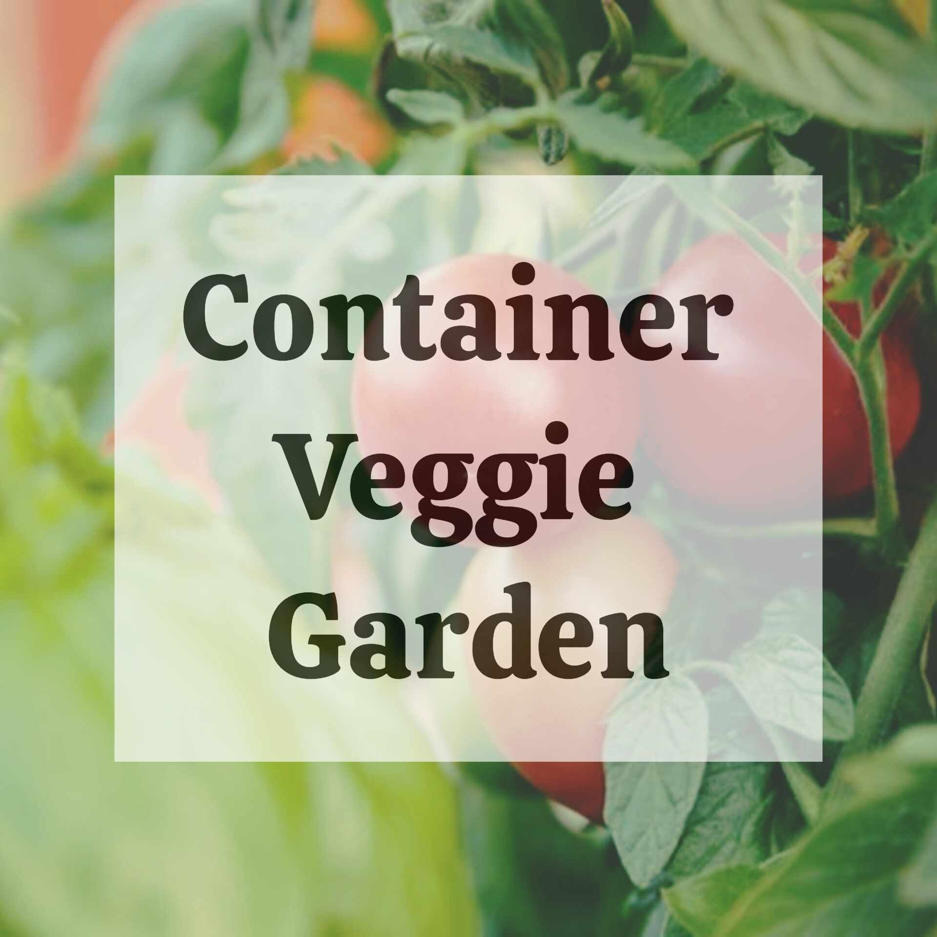 Chelsea deals veggie garden